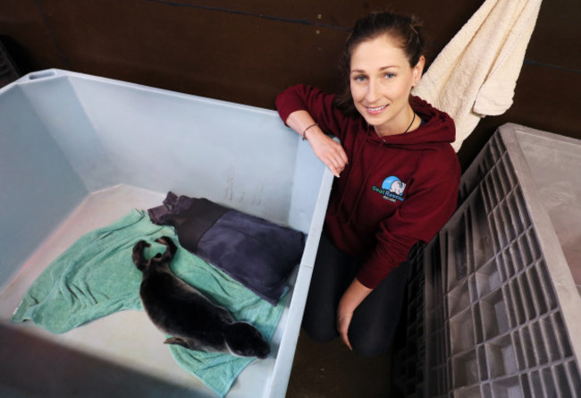 seal-rescue-ireland-use-wetsuit-mammas-to-comfort-orphaned-pups