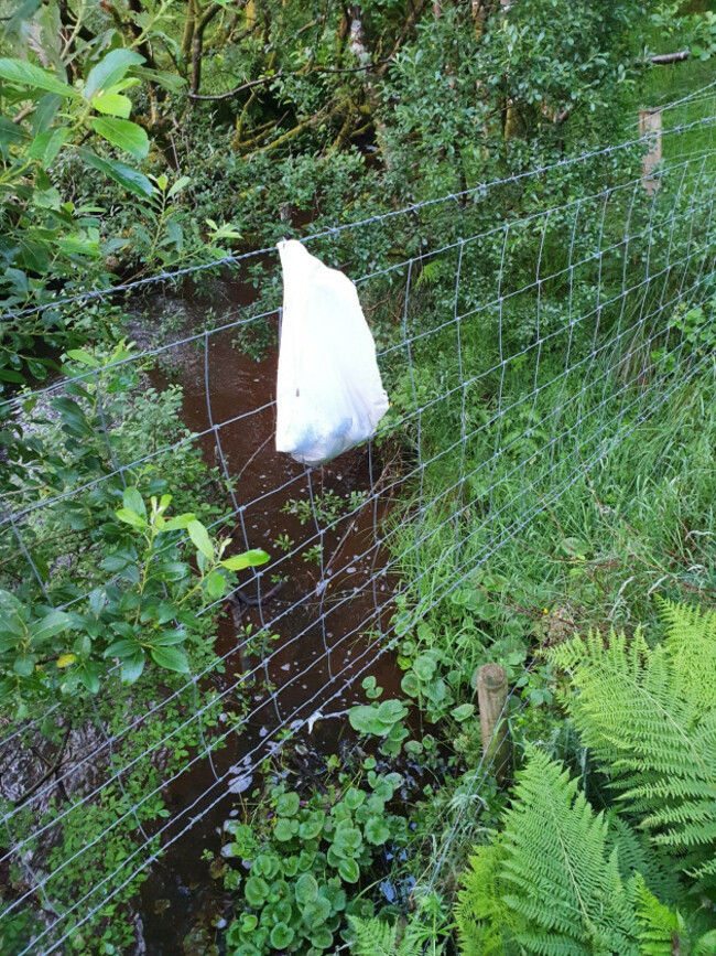 puppies-fly-tipped-like-pieces-of-trash-and-left-dangling-for-de