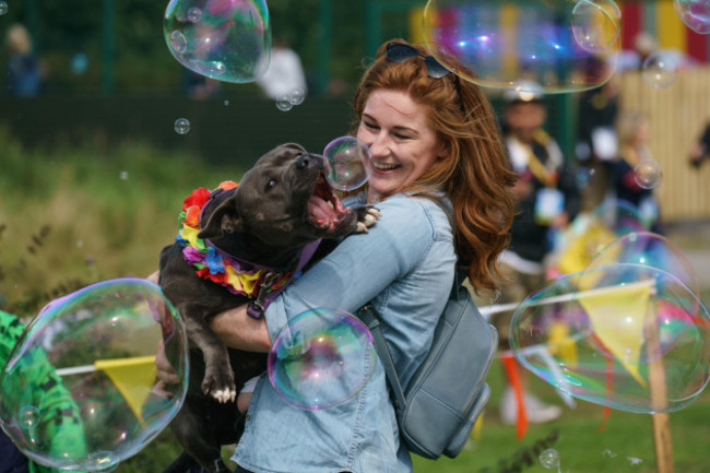 Dogs Trustival