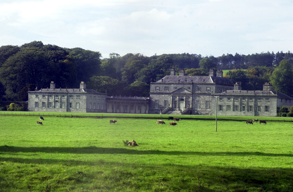 russborough-house-pictorial-art-robberys-crime-in-ireland-cattle-grazing
