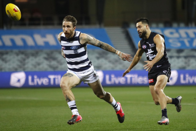 afl-cats-blues