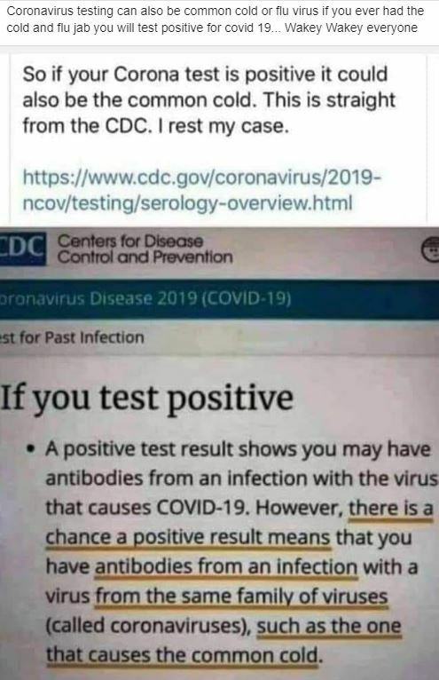 Factcheck Can A Common Cold Cause A Positive Covid 19 Test