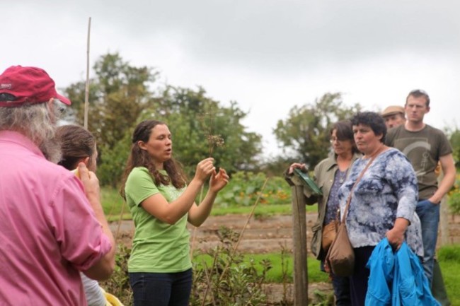 Irish Seed Savers3