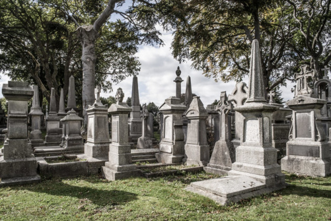 44953595951_8714fa380f_c