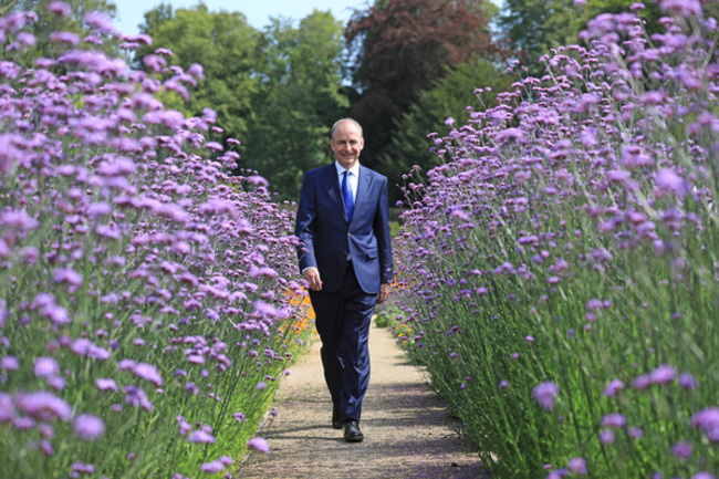 NO FEE TAOISEACH PM BORIS JOHNSON JB14