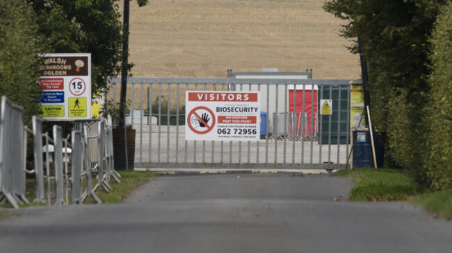 29 TEST POSITIVE IN GOLDEN 758A0713