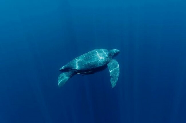 2b41f1b7-94fa-41ad-bdd8-db801c5bb165