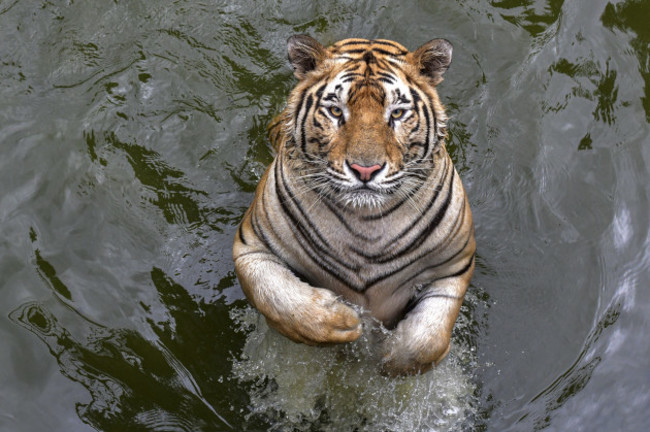 animals-in-zoo-in-dhaka-bangladesh-22-sep-2020