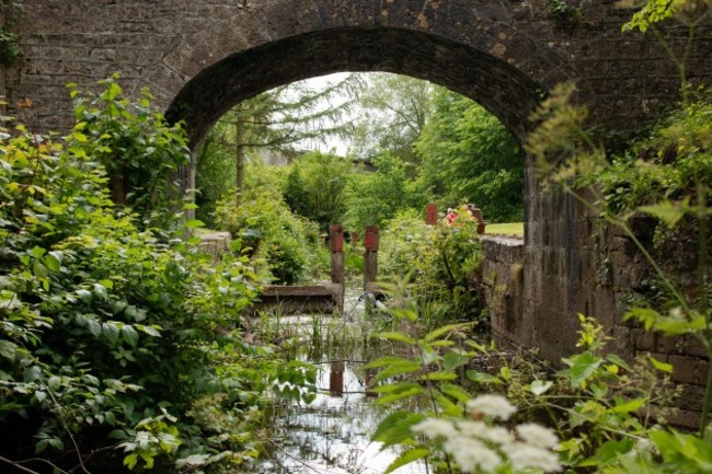 Bridge in Park