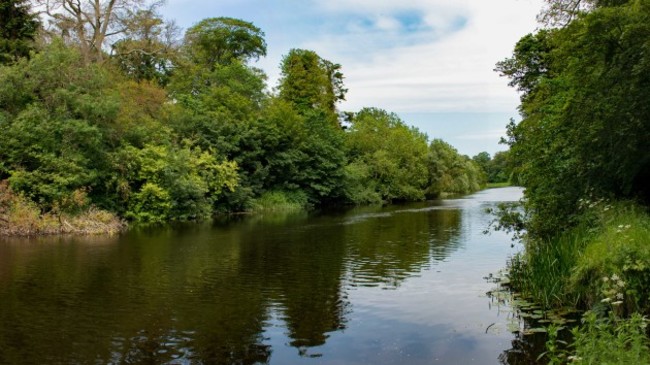 River in Park 1