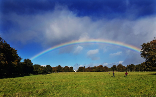 AUTUMN RAINBOW 145116