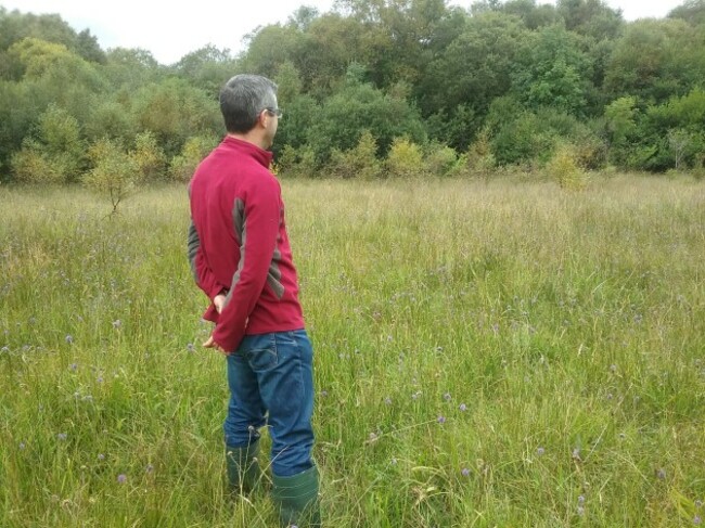 RBAPS Team Member in Marsh Fritillary Habitat_photo Dolores Byrne