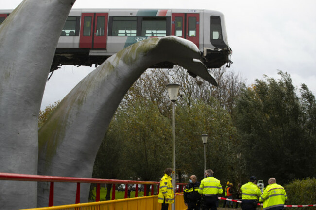 netherlands-metro-whale