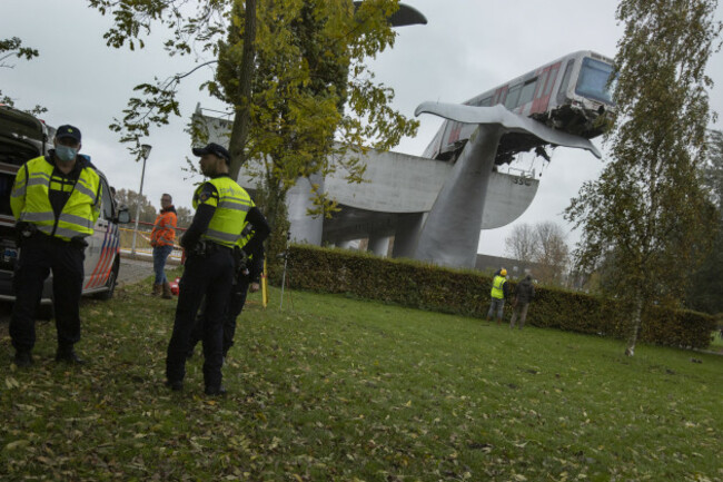 netherlands-metro-whale