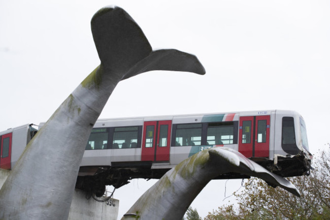 netherlands-metro-whale