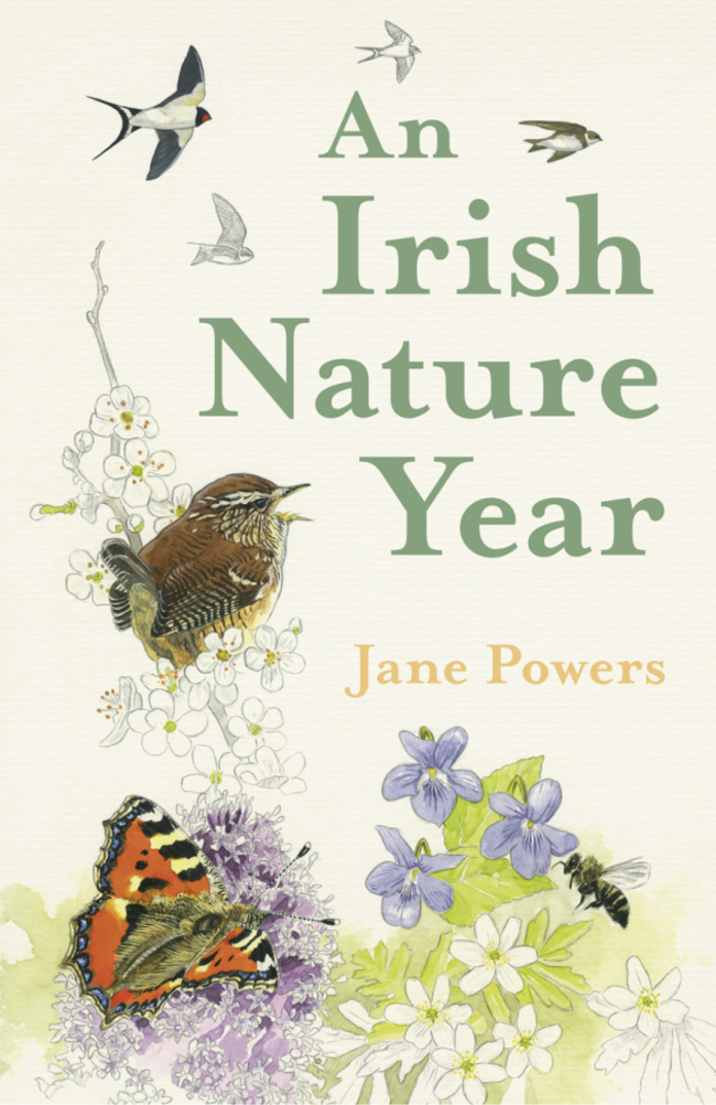 An Irish Nature Year front cover(1)