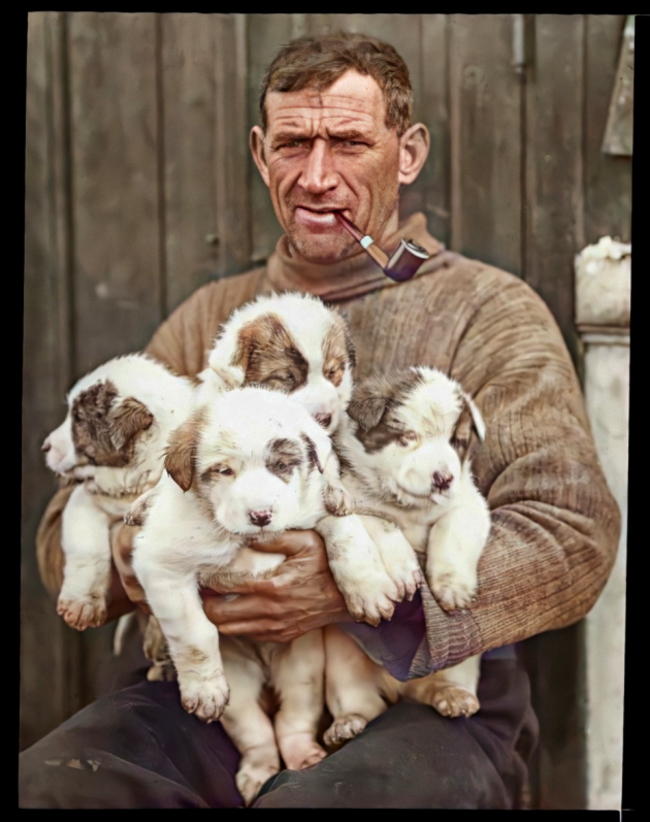 tom-crean-and-pups_49893138628_o