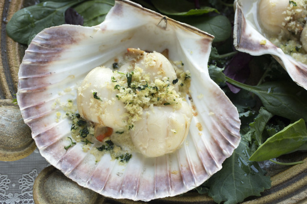 star-seafoods-scallops-photo-tony-gavin-18112020