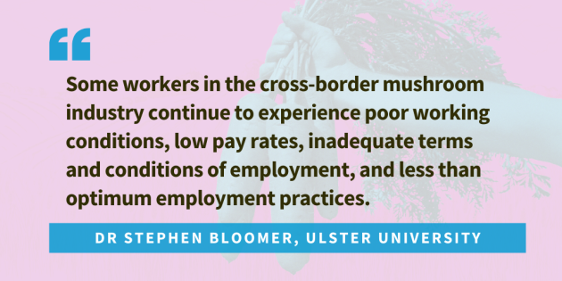 Quote from Dr Stephen Bloomer of Ulster University... Some workers in the cross border mushroom industry continue to experience poor working conditions, low pay rates, inadequate terms and conditions of employment, and less than optimum employment practices. 
