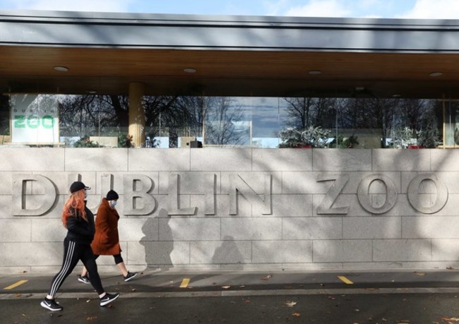 file-photo-after-announcing-a-possible-permanent-closure-dublin-zoo-has-announced-that-over-e1-million-has-been-raised-in-less-than-12-hours-due-to-fundraising-end