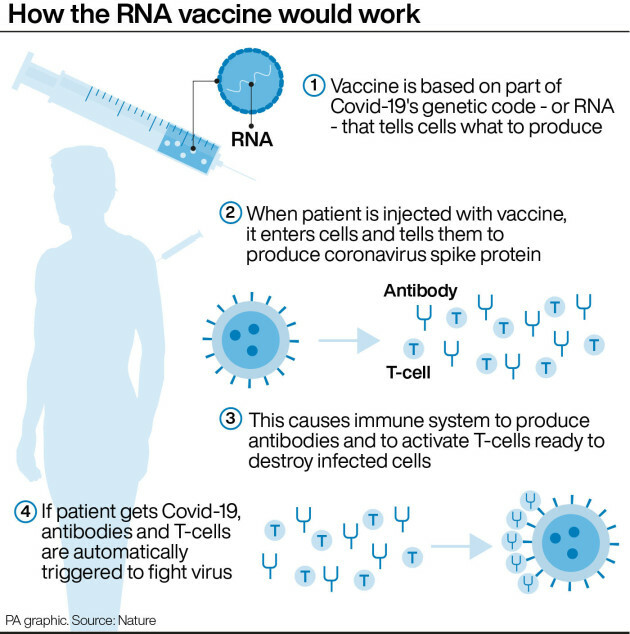 Explainer What We Know About The Oxford Astrazeneca Vaccine