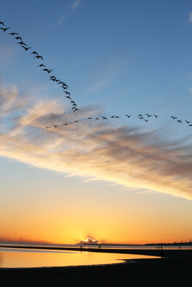 173 Sandymount Sunrise