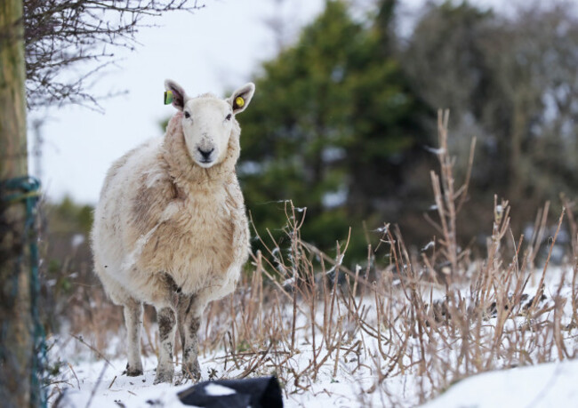 winter-weather-feb-9th-2021