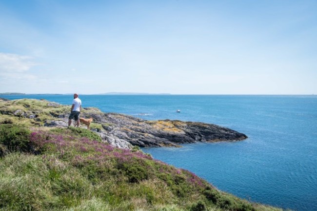 GoleenHarbour_037(1)