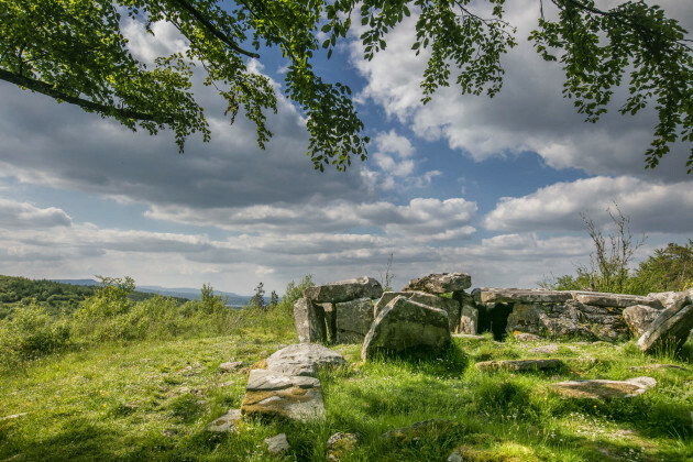 trails-and-walks-at-cavan-burren-park