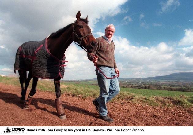 danoli-with-tom-foley-at-his-yard-in-county-carlow