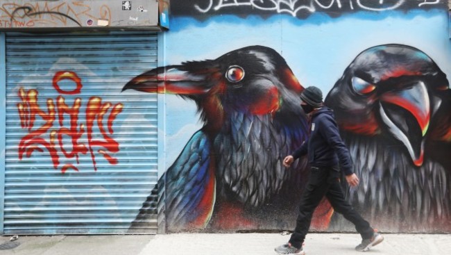 0266 Raven birds street art