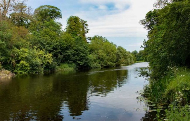 River in Park 1