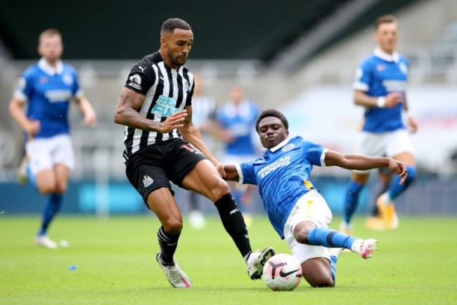 newcastle-united-v-brighton-and-hove-albion-premier-league-st-james-park