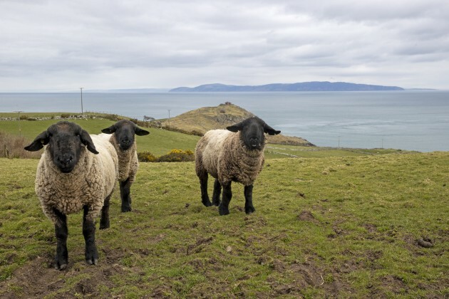 link-between-northern-ireland-and-scotland