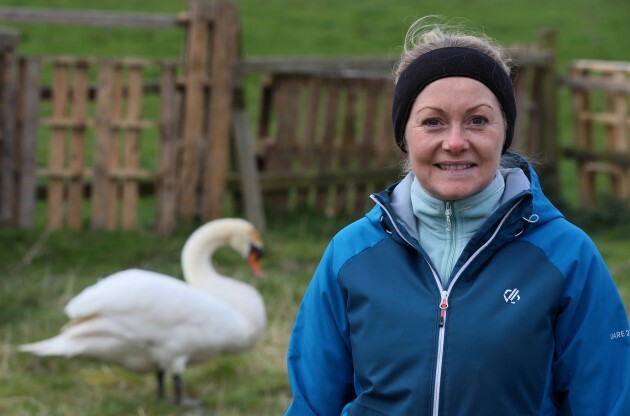 irelands-first-wildlife-hospital