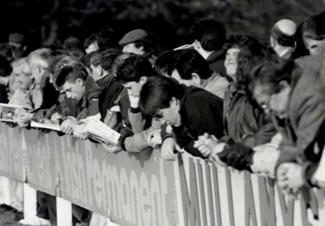 fans-at-the-game