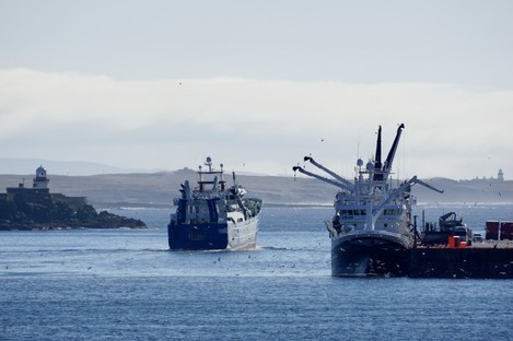 Significant enforcement problems prevail in Irish industry: Fishing's  control issues