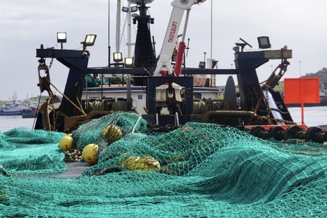 Industrial Fishing In Action Herrings In The Net Stock Photo - Download  Image Now - Fishing Industry, Large, Commercial Fishing Net - iStock