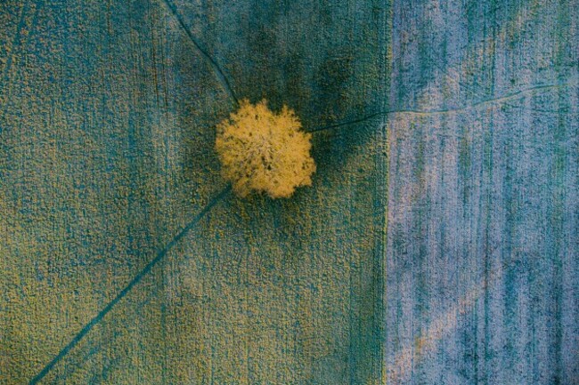 spring-weather-apr-15th-2021