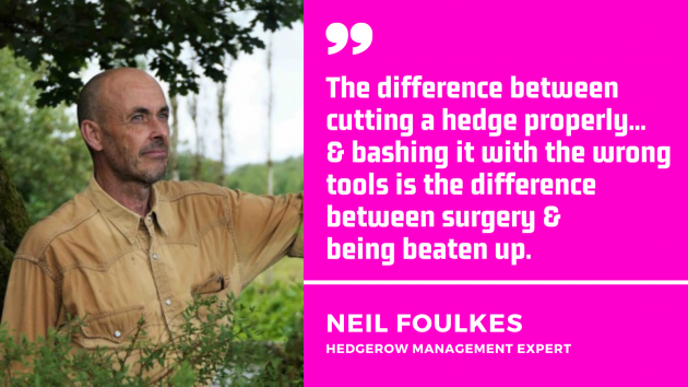 Quote by Neil Foulkes, hedgerow management expert. The difference between cutting a hedge properly and bashing it with the wrong tools is the difference between surgery and being beaten up.
