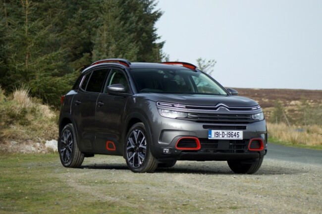 dave citroen IMG_3404