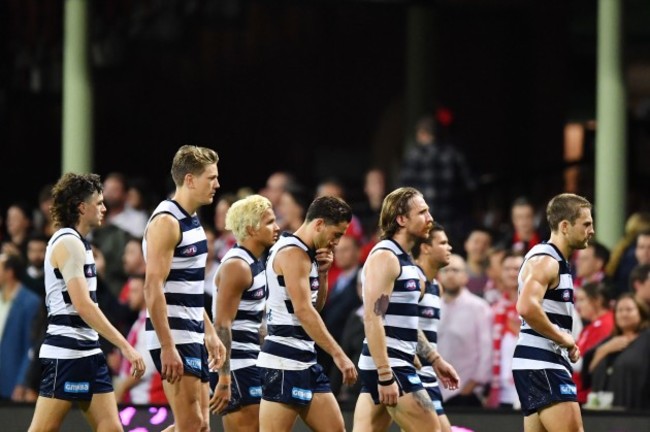 afl-swans-cats