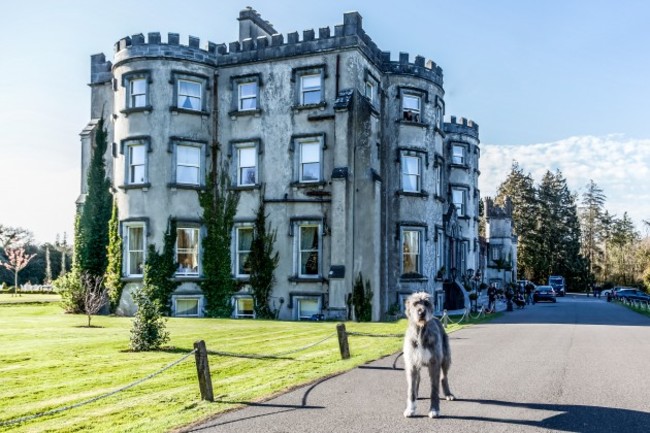 1. Ballyseede Castle - Exterior