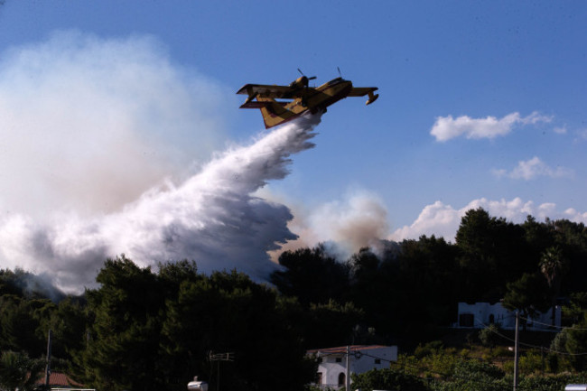 greece-alepochori-wildfire