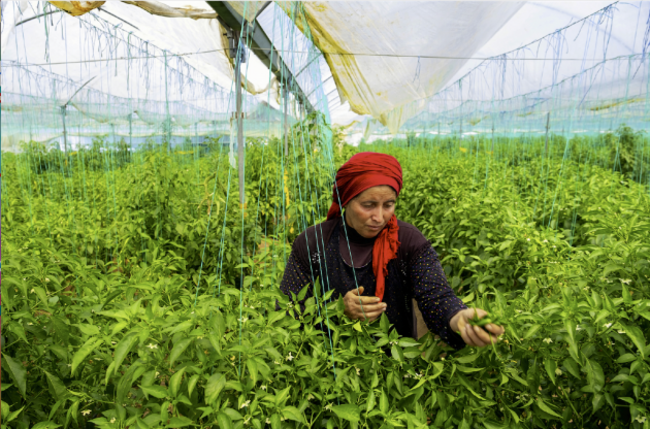 Screen Shot 2021-06-15 at 16.00.17