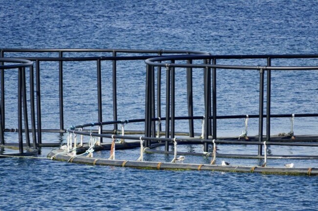 Salmon pen on Lough Swilly, Co Donegal