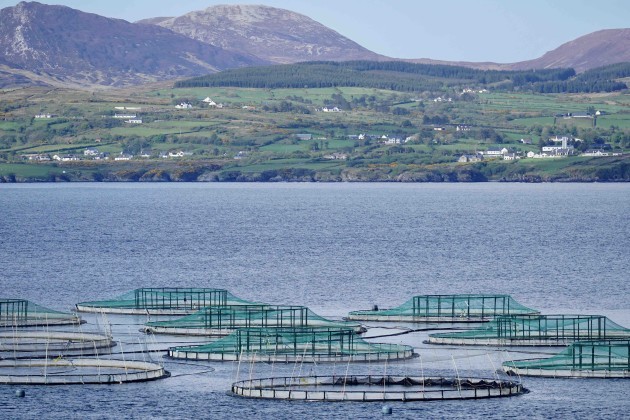 Salmon Farm on Lough Swilly, Co Donegal