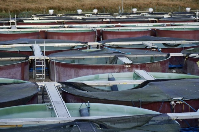 Salmon pens at Mowi’s Lough Altan hatchery in Co Donegal