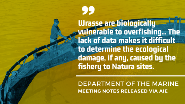 Department of the Marine - Meeting notes released via AIE - Wrasse are biologically vulnerable to overfishing... The lack of data makes it difficult to determine the ecological damage, if any, caused by the fishery to Natura sites. 