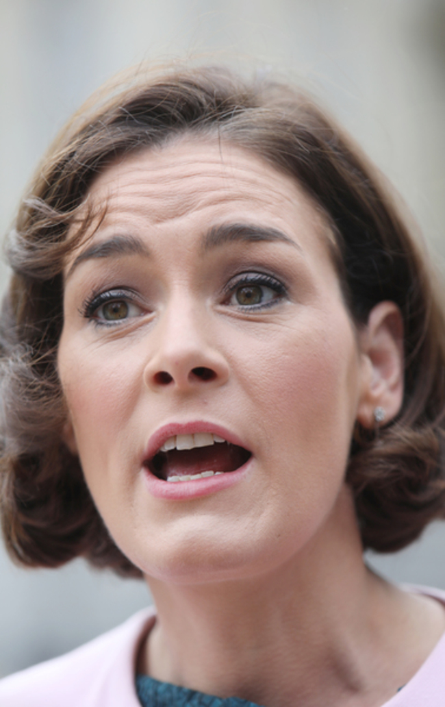 7125 Fine Gael Budgets